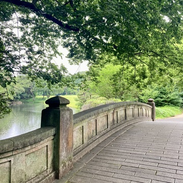 明治神宮への散歩で森林浴