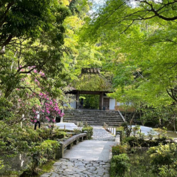 新緑間近の京都へ。②