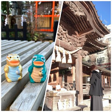 【幸先詣】来年は辰年。五龍神が祀られている神社に参拝。