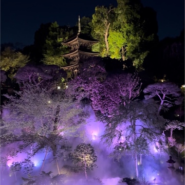 ホテル椿山荘東京〜夜桜雲海〜