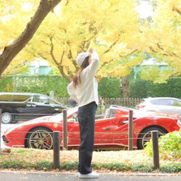 【さかぽんの冒険】絶景 いちょう並木@外苑前