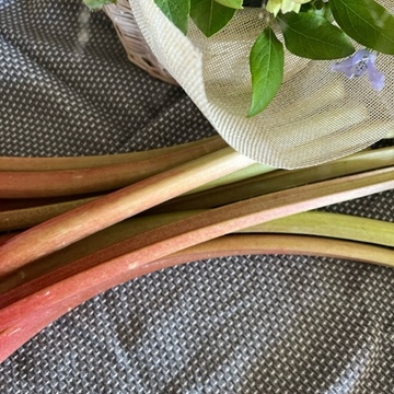 ルバーブジャム作りと熊野筆アイブロー