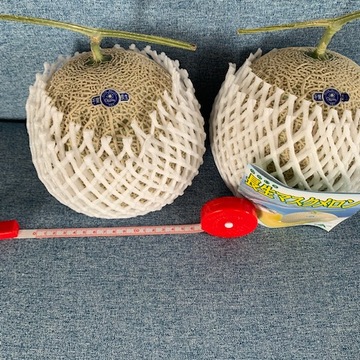 メロン♪メロン♪メロン♪♪