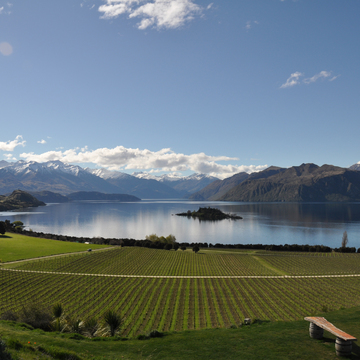 “ニュージーランドのロマネ コンティ”との異名をとる「リッポン」の魅力とは？【飲むんだったら、イケてるワイン／WEB特別篇】