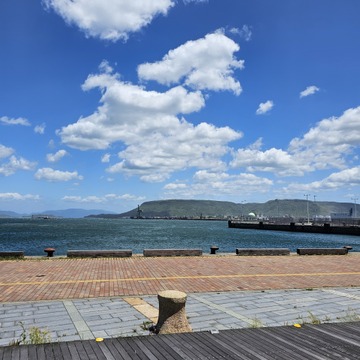 サンポート高松のバラ園