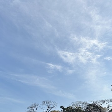 マティス展へ行ってきました♪