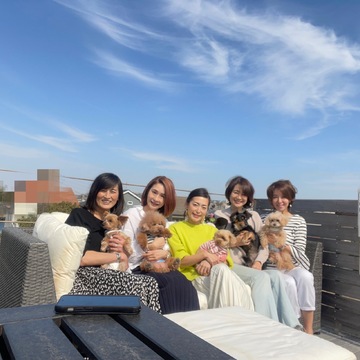 ミモザテーブルで華組ワンコ部ランチ