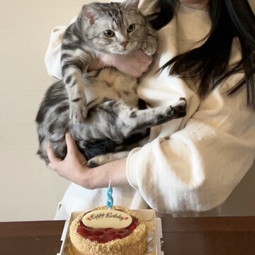 編集長キャット　アラン、8歳になりました