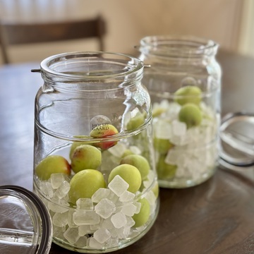 2026 夏しごと　梅シロップ編