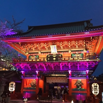 《神田明神》で　桜モウデ