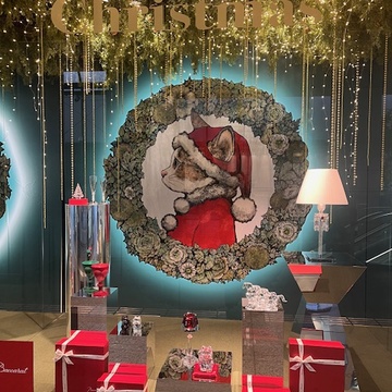 新宿お寿司ランチ