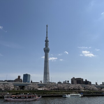 【勝どき〜スカイツリー〜お台場】お花見屋形船に乗って隅田川クルーズ