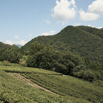 森英恵さんのインスピレーションの源・生まれ故郷！水と森が美しい島根・石見へ