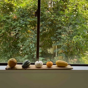 会いたい人に会う。やりたい事をやる。