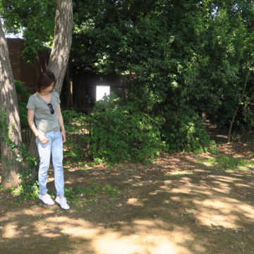 私の大人カーキTシャツ