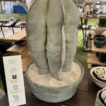 信楽焼作家市に今年もやってきました。‼️