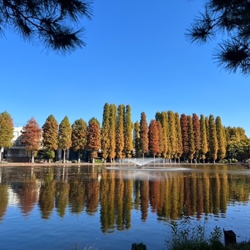 別所沼公園へ～ランチ＆お散歩♪