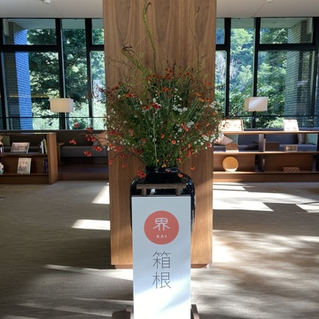 【箱根湯本】界箱根で温泉＆満腹