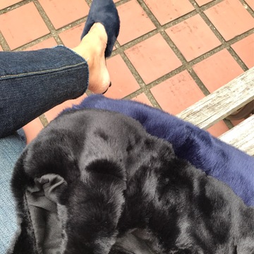 流行りのモフモフバッグとシューズ☆