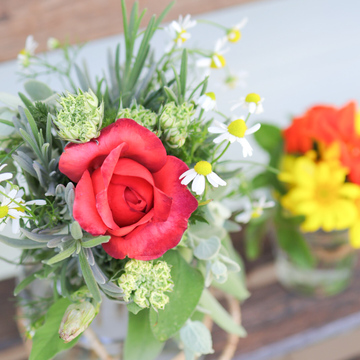 タッジーマッジーで癒しの時間