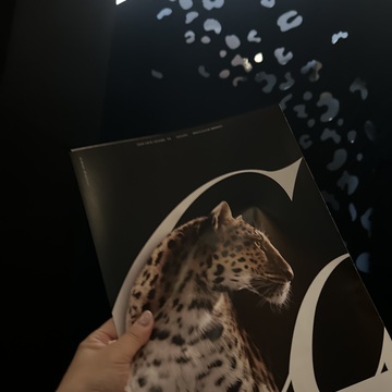 Cartier"INTO TO THE WILD"へ