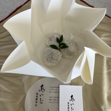 「あいと　電気餅店」生大福