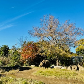 横浜動物園ズーラシア