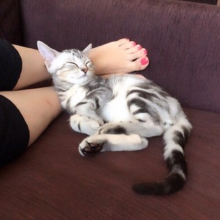 ベビーアランの枕は