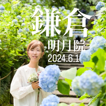 【鎌倉 明月院】キラッキラなあじさいが見頃です✨（2024.6.1撮影）