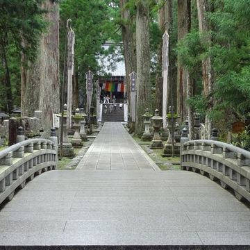大人の遠足　列車「天空」に乗って高野山へ