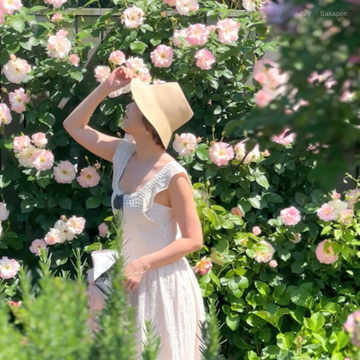 【横浜イングリッシュガーデン】ローズフェスティバル2024🌹✨