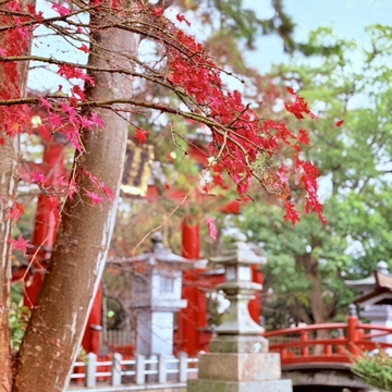 北陸の守護神「氣比神宮」へ 松尾芭蕉が愛した月と秋の風景に触れて…