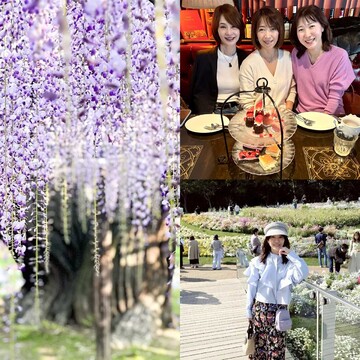 お花見やグルメを満喫！お休みの日に行きたいお出かけスポット＆満足ランチ【チームJマダムブログ人気記事週間ランキングTOP10】