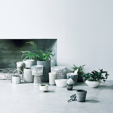 【グリーンを洗練させるアイデア】ニュアンスある鉢の選び方