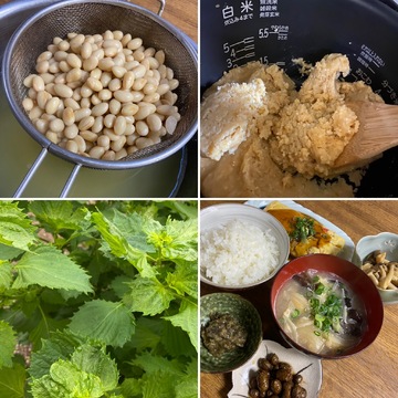 炊飯器で時短！手作り味噌で作る「シソ味噌」