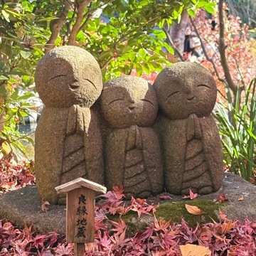 想像以上の絶景に出会えた神奈川の紅葉の見どころ〜北鎌倉・鎌倉編〜