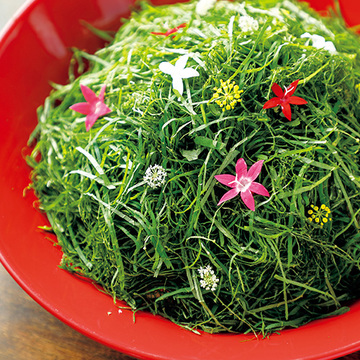 一皿ごとに驚きがいっぱい！インパクト抜群の創作料理が楽しめる『bubblegum.』【京都美味手帖】