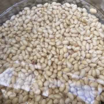 お味噌づくりに挑戦‼️