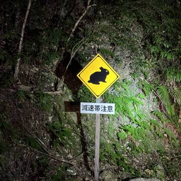 オススメ奄美大島の旅♪前編～ここでしか見られない天然記念物に会えた！！