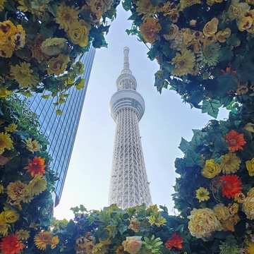 プラネタリウムと味噌活でソロ活♪