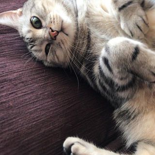 ソファで、クネクネ