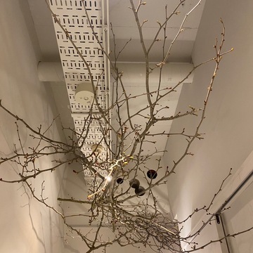 大人の遠足〜京都〜