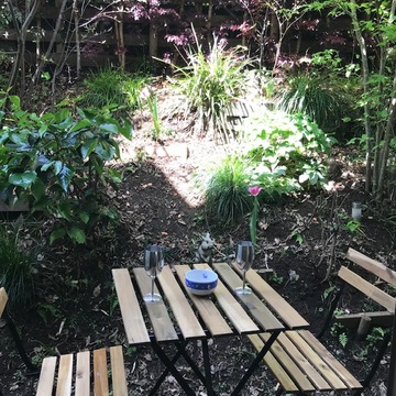 ☆裏庭に星が舞い降りた？☆