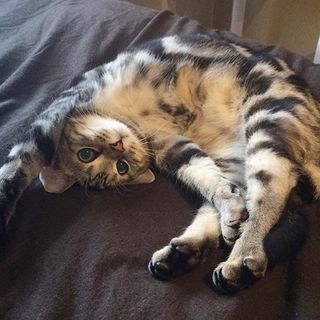 少年アラン、ヤンチャです