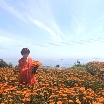 Calendula Tour！