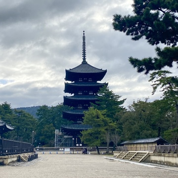 2泊3日、三都へ弾丸旅行④～奈良編 世界遺産・興福寺 ～