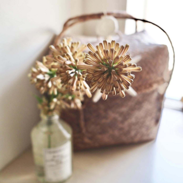 お福分け！奇跡が運ぶ「幸運」の花。