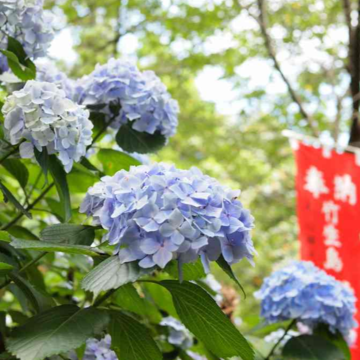 【神々が宿る島】琵琶湖に浮かぶ、強力パワースポット竹生島へ。
