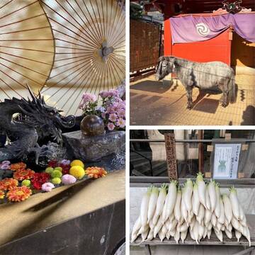 【松島・日光・茨城・東京・鎌倉】大根のお供えや花手水など個性豊か！東日本のパワースポット10選【チームJマダムまとめ】