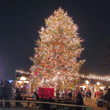横浜で過ごす、光と味わいのひととき♡
